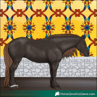 Horse Color:Liver Chestnut Rabicano