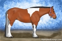 Horse Color:Bay Tobiano 
