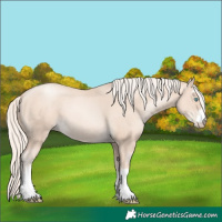 Horse Color:Gold Cream Champagne Pearl 