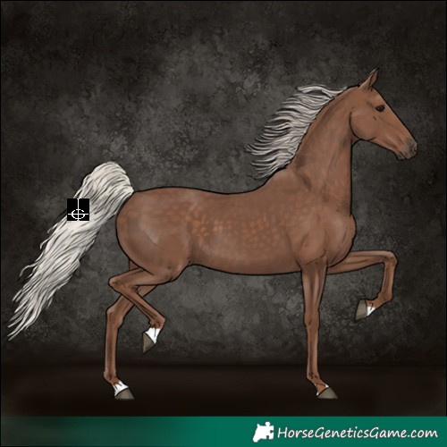 Horse Color:Silver Black 