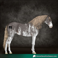 Horse Color:White Spotted Liver Chestnut 
