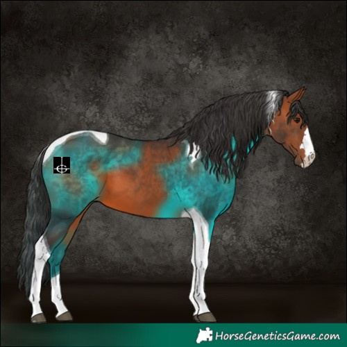 Horse Color:Bay Tobiano 