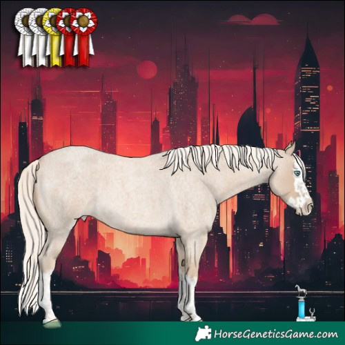 Horse Color:Cremello Roan Splash 