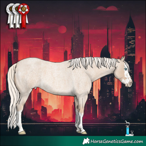 Horse Color:Cremello Roan Splash 