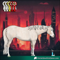 Horse Color:Cremello Roan Splash