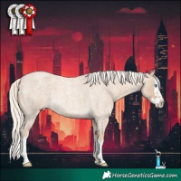 Horse Color:Cremello Roan Splash 