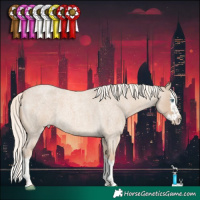 Horse Color:Cremello Roan Splash 