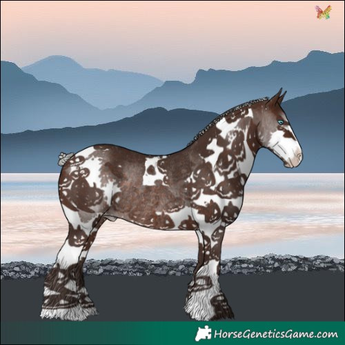 Horse Color:Silver Brown Splash Tobiano Rabicano 