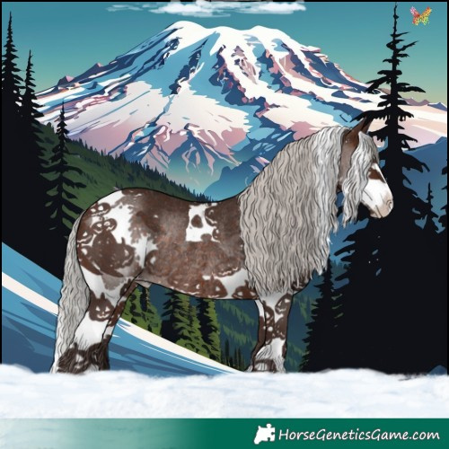 Horse Color:Silver Brown Splash Tobiano Rabicano 