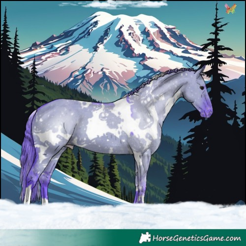 Horse Color:Watercolor White Spotted Grullo Varnish 