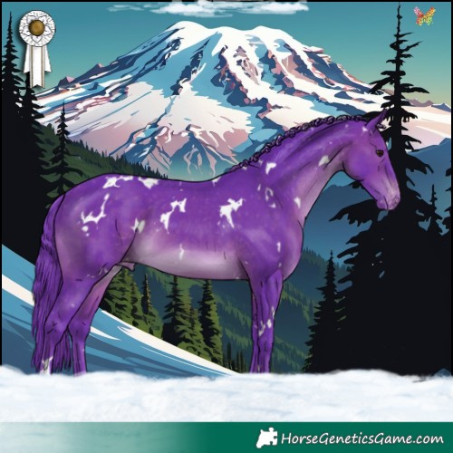 Horse Color:Watercolor White Spotted Brown Appaloosa 