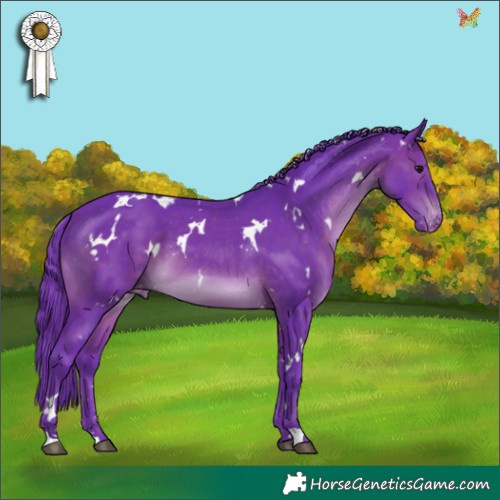 Horse Color:Watercolor White Spotted Brown Appaloosa 