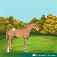 Horse Color:Chestnut Tobiano Varnish 