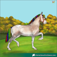Horse Color:Painted Bay Ice Onyx Appaloosa 