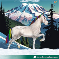 Horse Color:Painted Bay Ice Onyx Appaloosa 