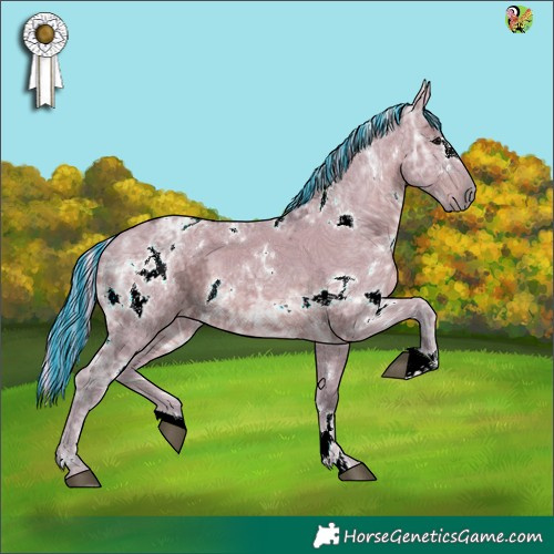 Horse Color:Painted Watercolor White Spotted Silver Grullo Ice 