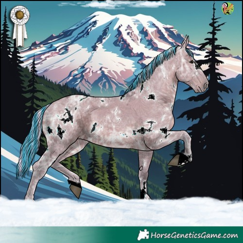 Horse Color:Painted Watercolor White Spotted Silver Grullo Ice 