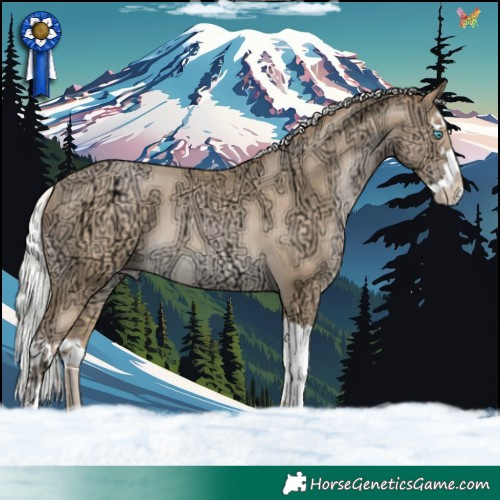 Horse Color:Silver Bay Ice Snowdrop Pearl Splash 