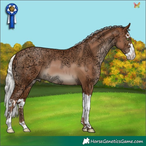Horse Color:Silver Bay Ice Pearl Splash 