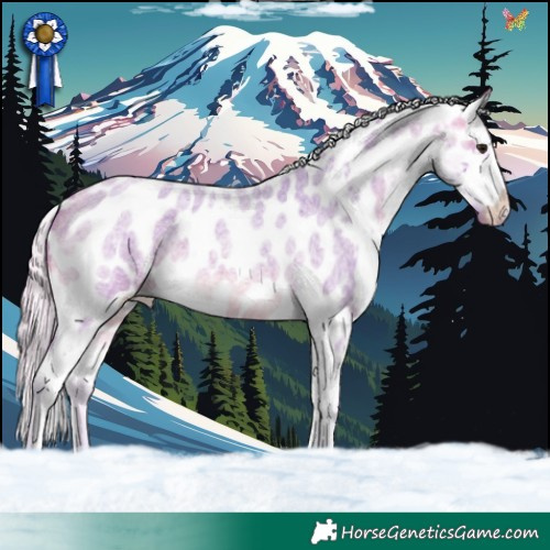 Horse Color:Watercolor Silver Buckskin Roan Blanket 