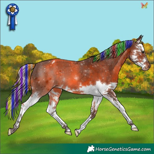Horse Color:Painted Silver Brown Splash Appaloosa 