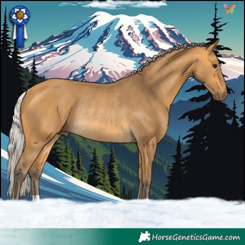 Horse Color:Silver Buckskin Rabicano 