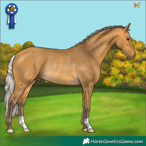 Horse Color:Silver Buckskin Rabicano 