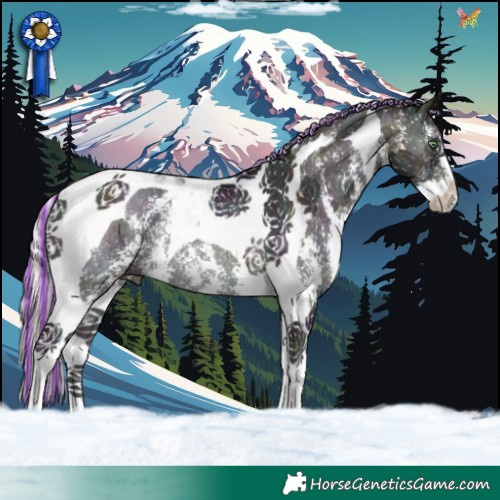 Horse Color:Painted Midnight Silver Buckskin Pearl Onyx Sabino Tobiano Rabicano 