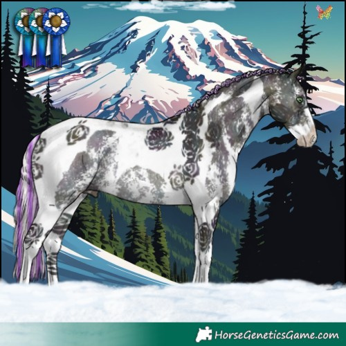 Horse Color:Painted Midnight Silver Buckskin Pearl Onyx Sabino Tobiano Rabicano 
