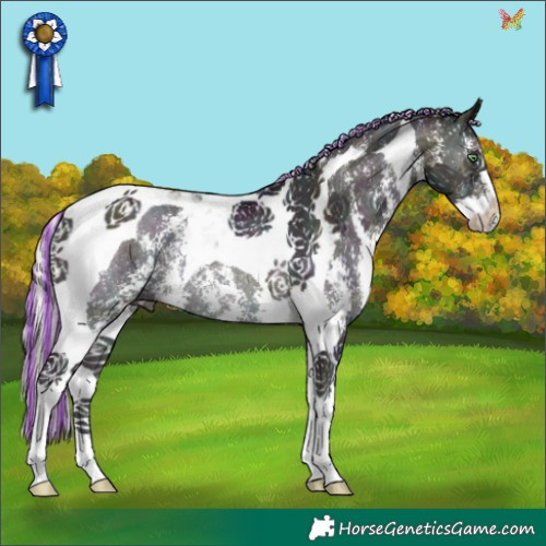 Horse Color:Painted Midnight Silver Buckskin Pearl Onyx Sabino Tobiano Rabicano 
