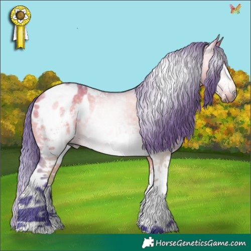 Horse Color:Gray Watercolor White Spotted Bay Dun Sabino Appaloosa 