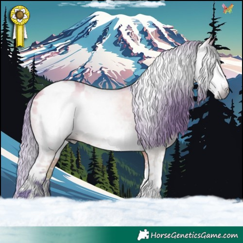 Horse Color:Gray Watercolor White Spotted Bay Dun Sabino Appaloosa 
