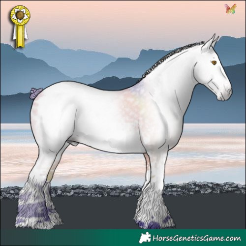 Horse Color:Gray Watercolor White Spotted Bay Dun Sabino Blanket 