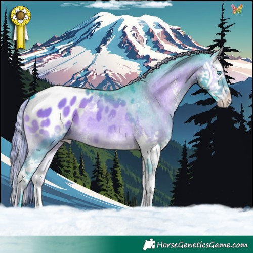 Horse Color:Watercolor Liver Red Onyx Sabino Splash Appaloosa 
