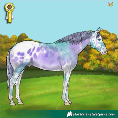 Horse Color:Watercolor Liver Red Onyx Sabino Splash Appaloosa 