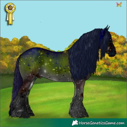 Horse Color:ERROR: UNKNOWN ANOMALY