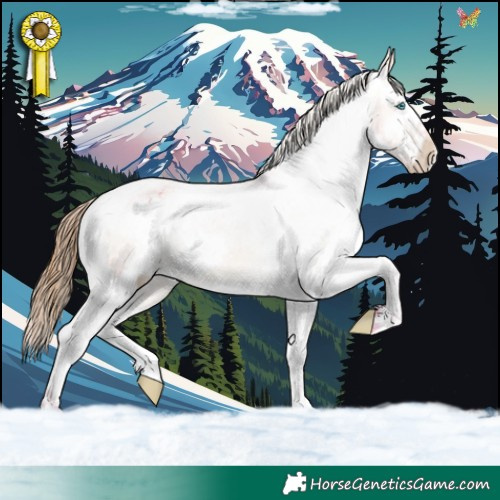 Horse Color:Watercolor Bay Dun Sabino Splash Varnish 