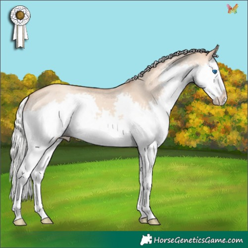 Horse Color:Silver Amber Champagne Dun Splash 