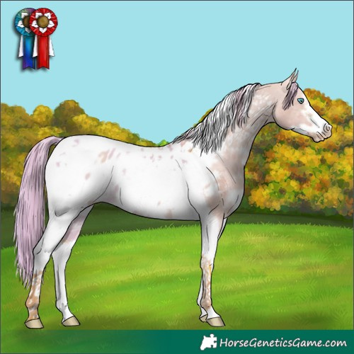 Horse Color:Watercolor White Spotted Liver Red Dun Tobiano Frame Blanket 