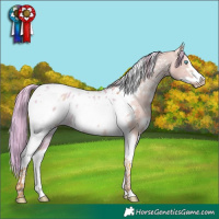 Horse Color:Watercolor White Spotted Liver Red Dun Tobiano Frame Blanket 
