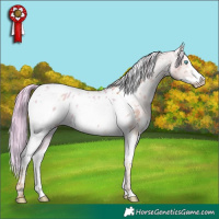 Horse Color:Watercolor White Spotted Liver Red Dun Tobiano Frame Appaloosa