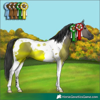 Horse Color:Grullo Tobiano