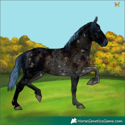 Horse Color:ERROR: UNKNOWN ANOMALY