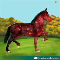 Horse Color:ERROR: UNKNOWN ANOMALY