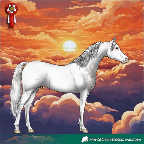 Horse Color:White Spotted Silver Brown Dun Tobiano Frame Appaloosa 