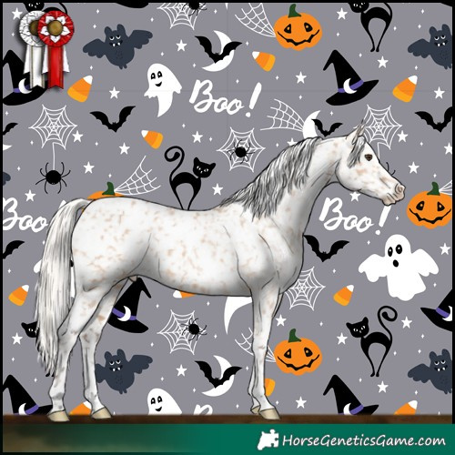 Horse Color:White Spotted Silver Bay Dun Appaloosa 