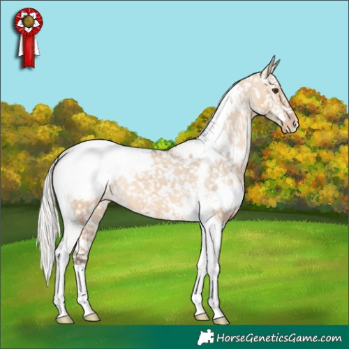 Horse Color:White Spotted Silver Bay Dun Tobiano Appaloosa Brindle 