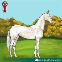 Horse Color:White Spotted Silver Bay Dun Tobiano Appaloosa Brindle 