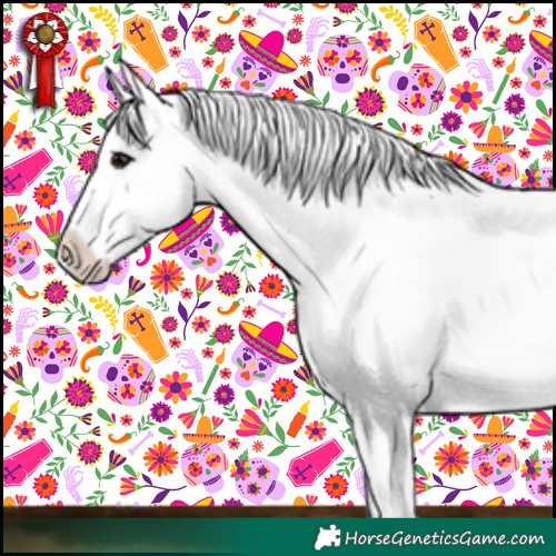 Horse Color:White Spotted Silver Grullo Appaloosa 