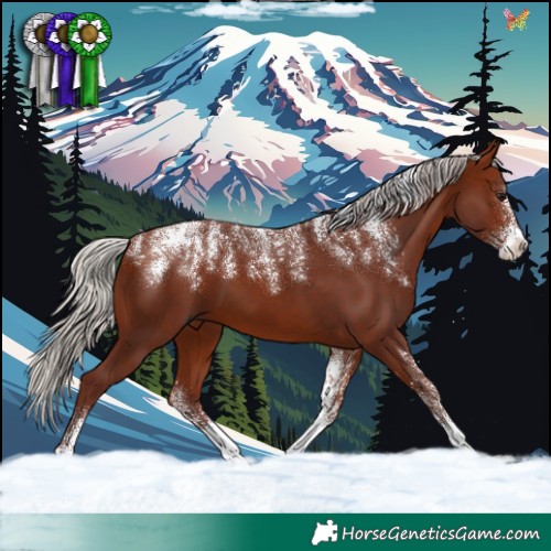 Horse Color:Powder White Chocolate Silver Bay 